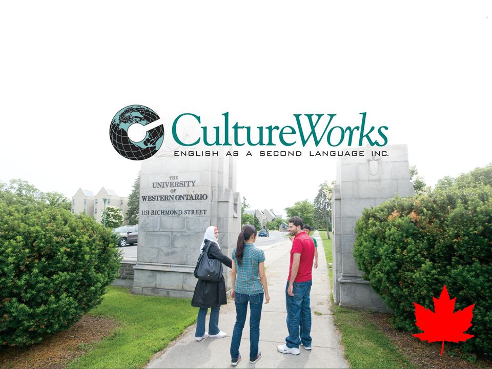 foreign study consultancy