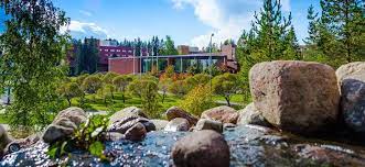 overseas study consultants