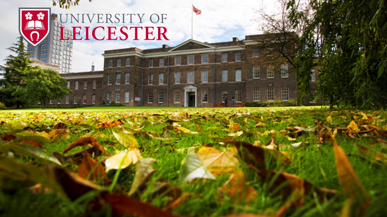 foreign study consultancy