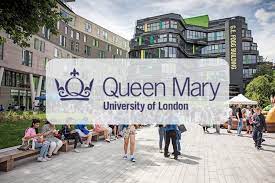 foreign study consultancy